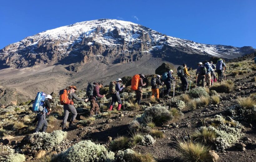 7-Day Marangu Route Kilimanjaro Climb