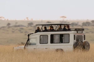 7-Day Tanzania Wildlife Safari from Arusha