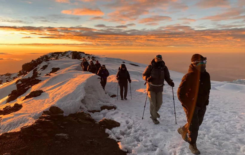 8-Day Lemosho Route Kilimanjaro Climb